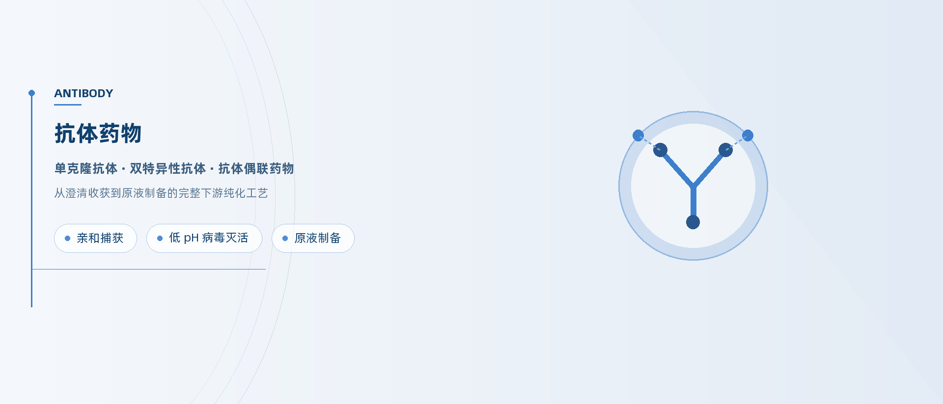 抗体药物（含ADC）