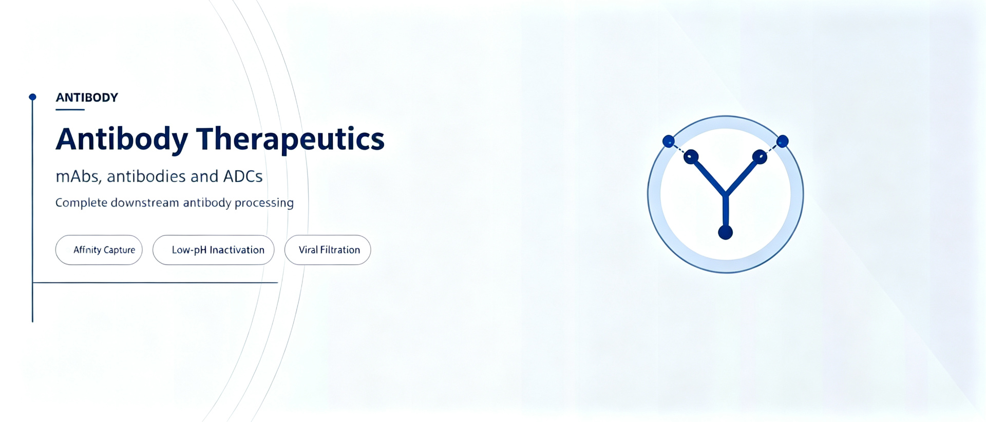 Monoclonal Antibody Production